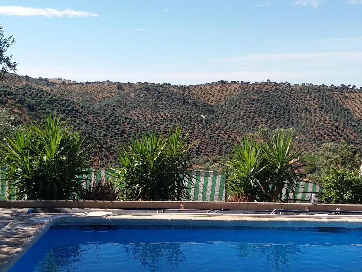 Holiday home Cortijo 