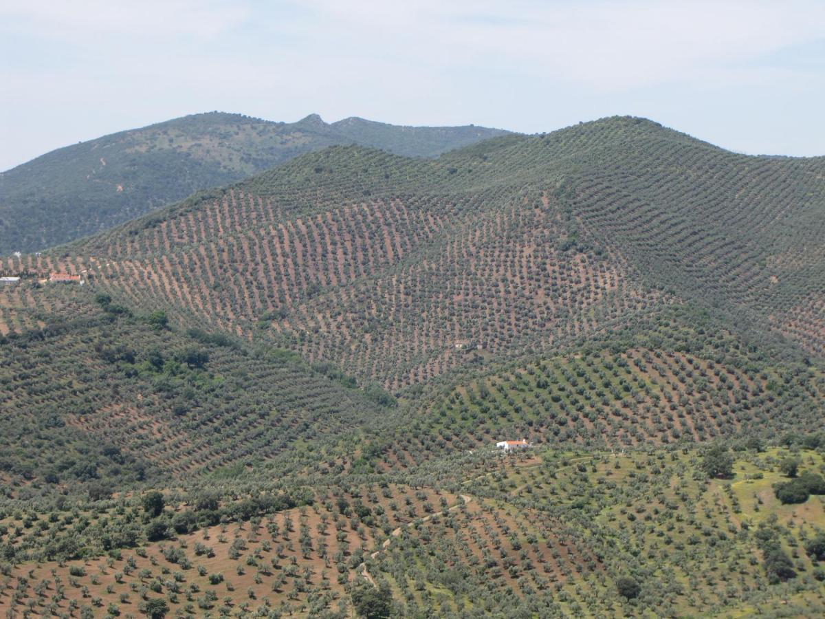 Holiday home Cortijo 