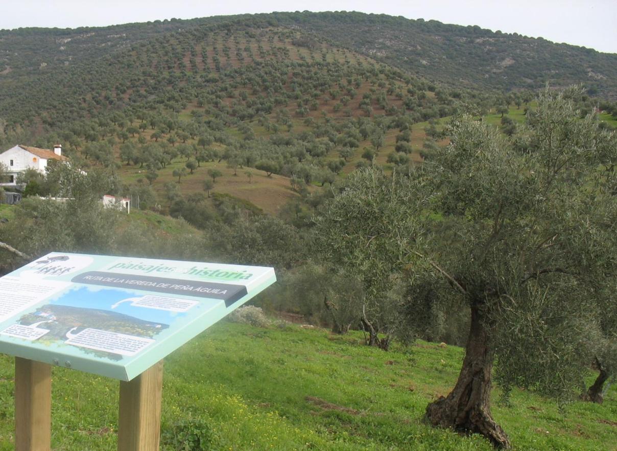 Holiday home Cortijo 