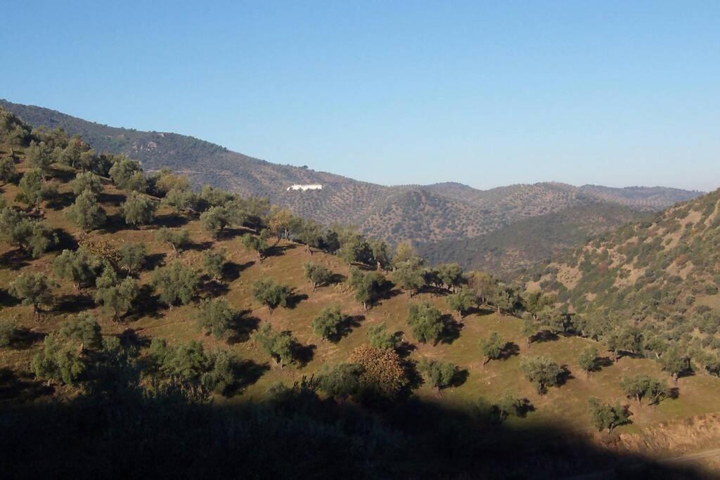 Cortijo 