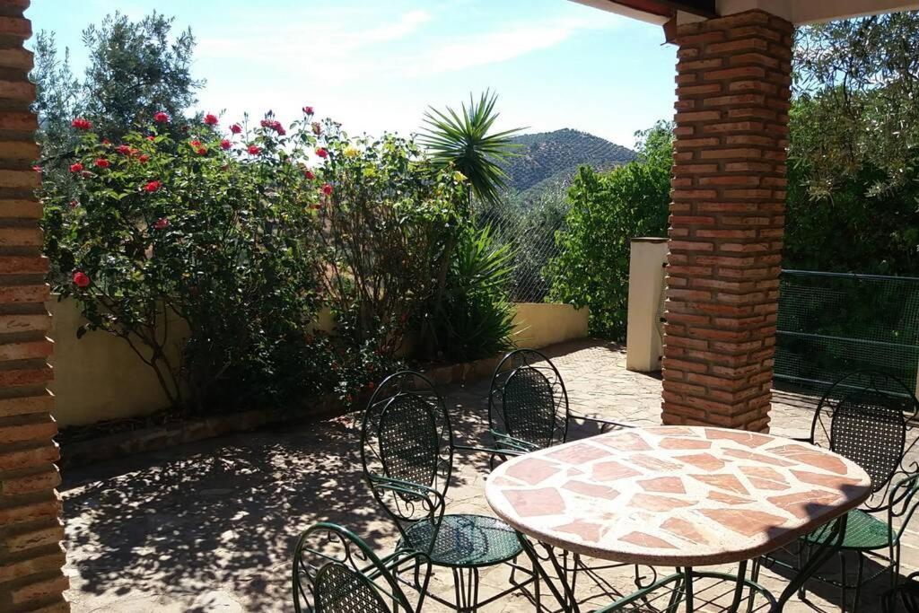 Cortijo 