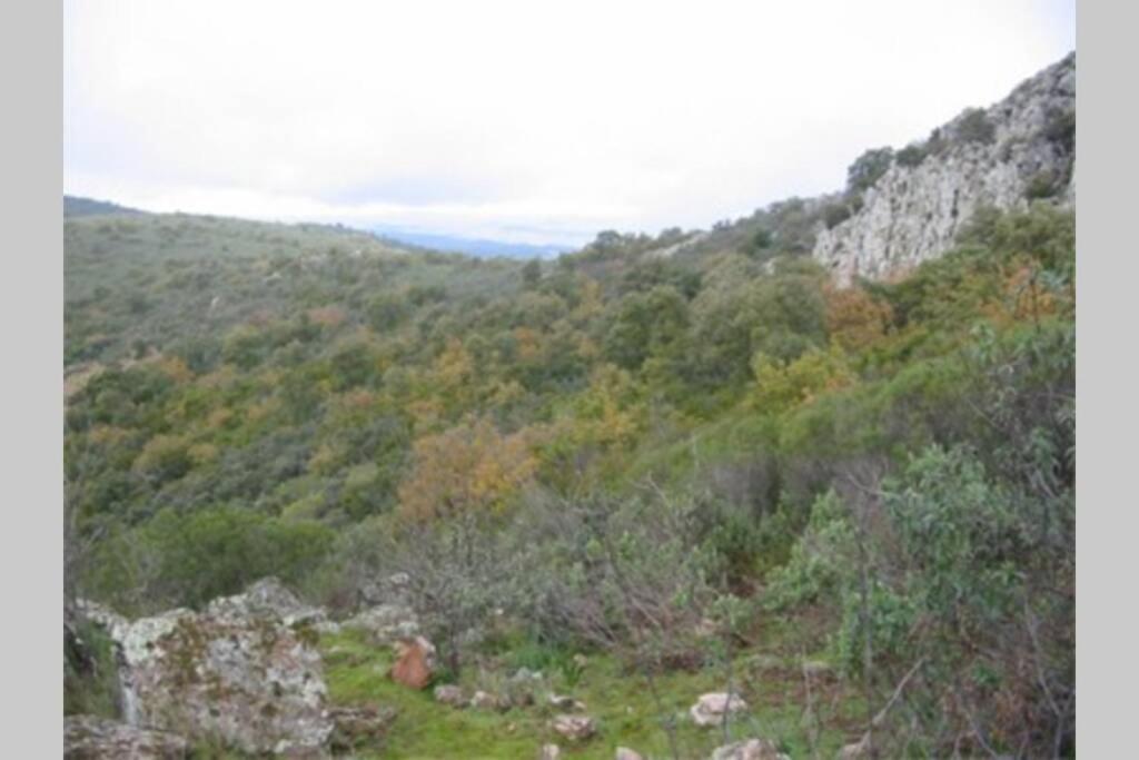 Hébergement de vacances Cortijo 