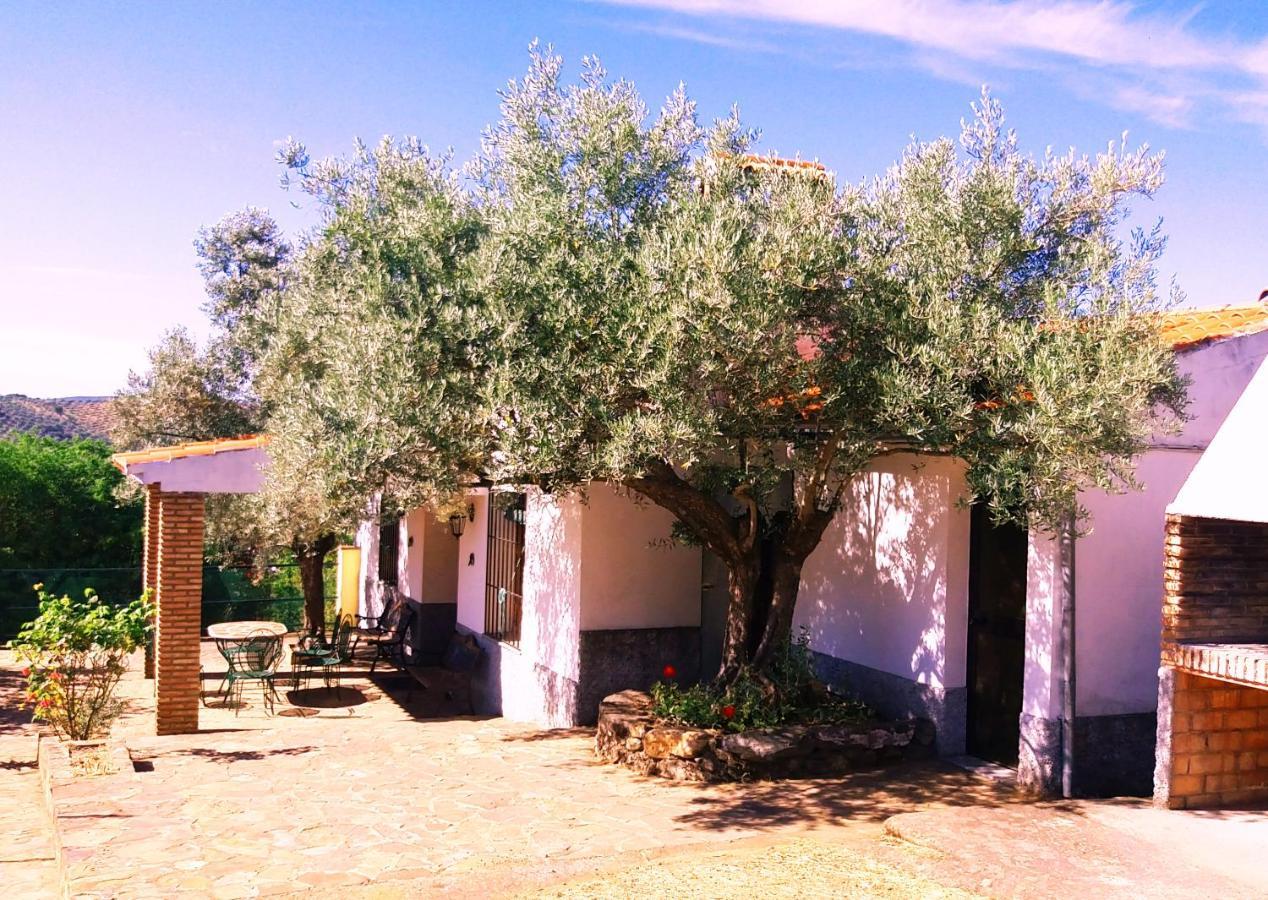 Cortijo 