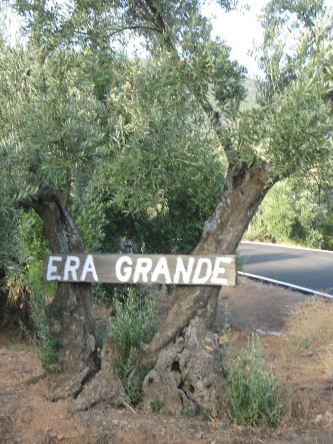 Cortijo 