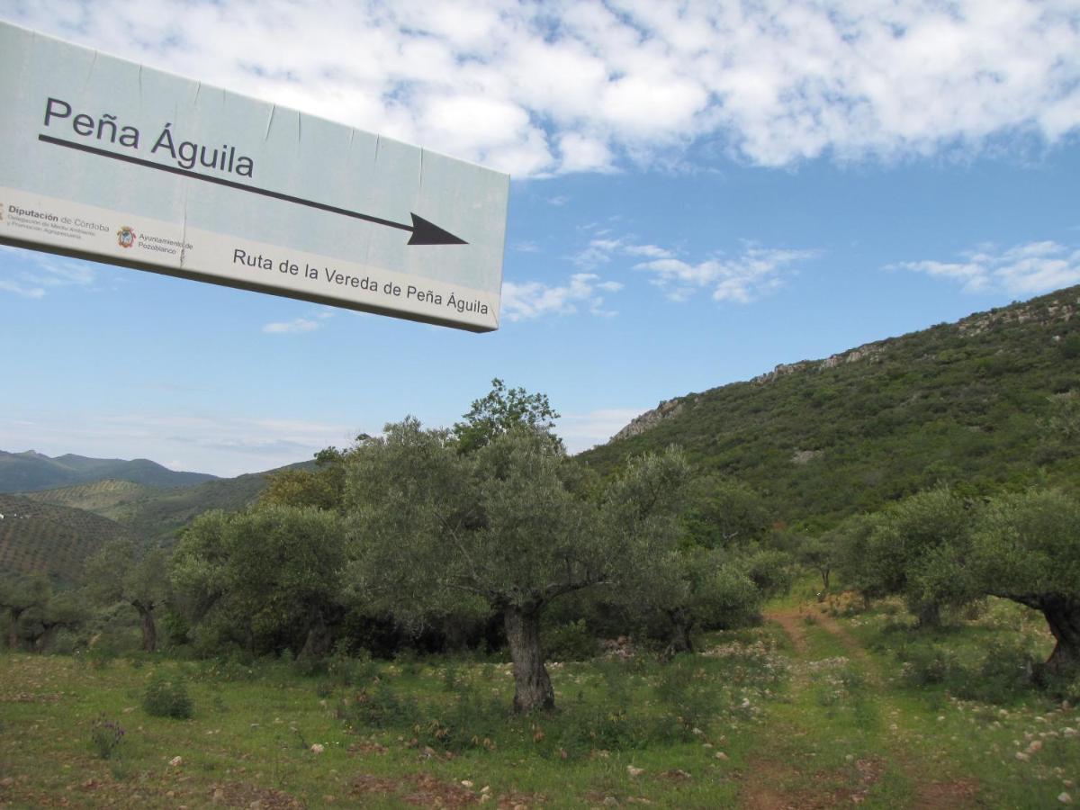 Cortijo 