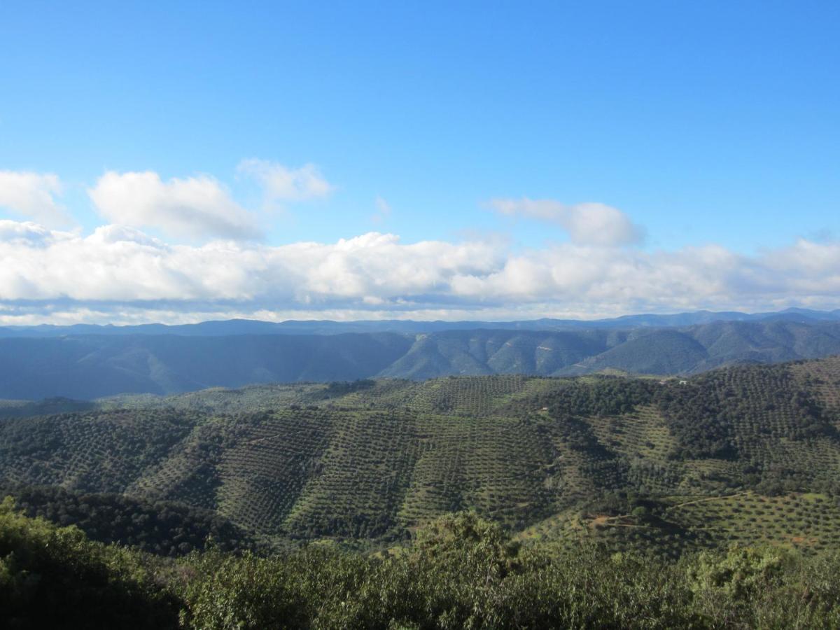 Cortijo 