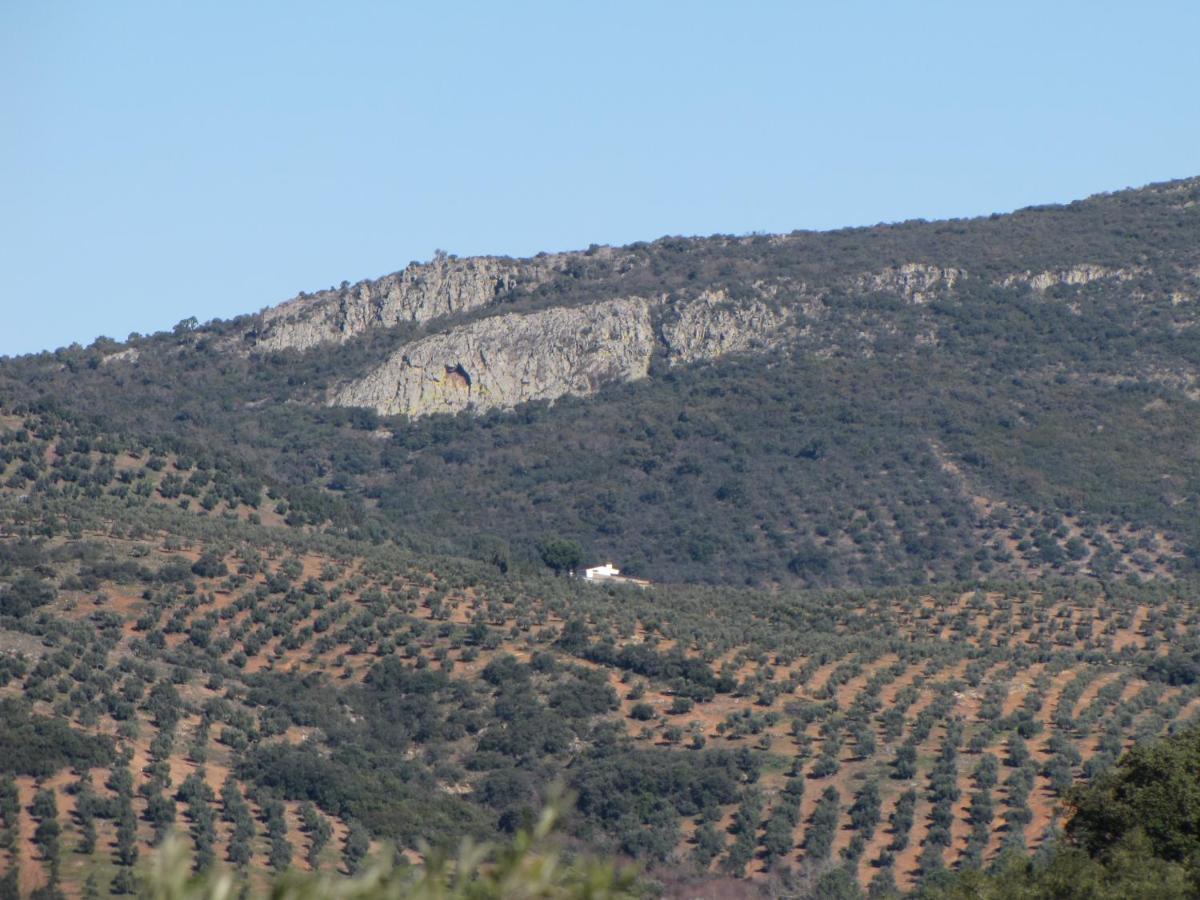 Cortijo 