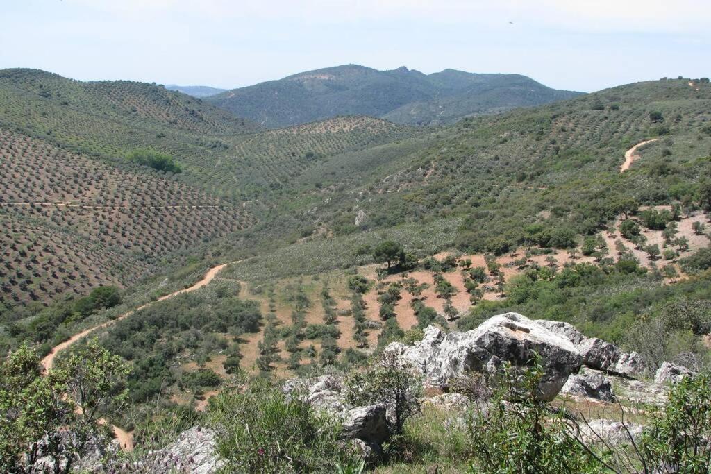 Hébergement de vacances Cortijo 